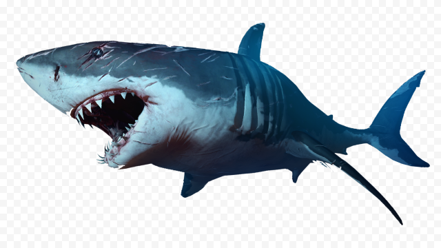 Blue Megalodon Shark Transparent Background