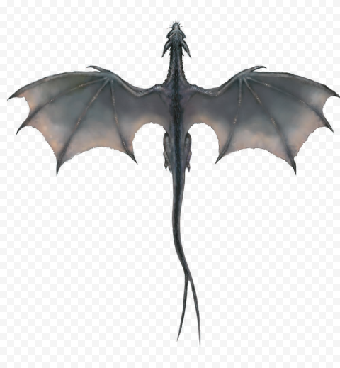 Flying Dragon Transparent PNG