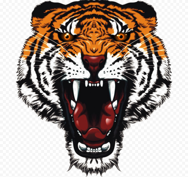 Tiger Tattoos PNG Pic