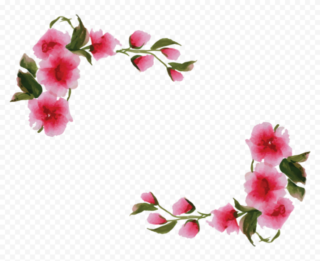 Flower Border PNG Isolated Picture