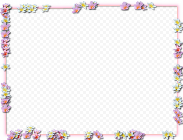 Square Flower Border Frame PNG Clipart