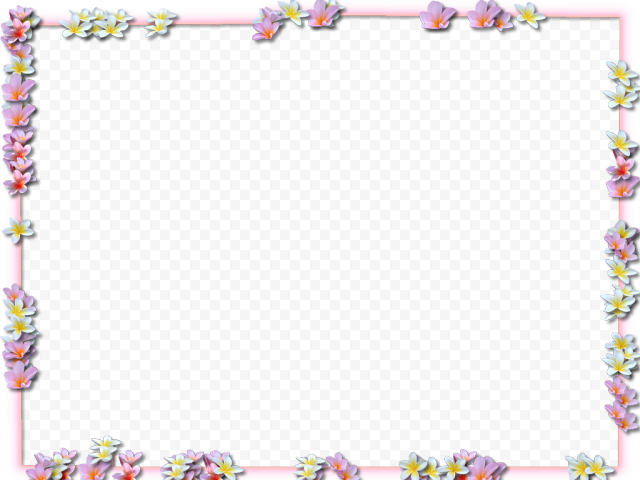 Vector Square Flower Border Frame PNG Image