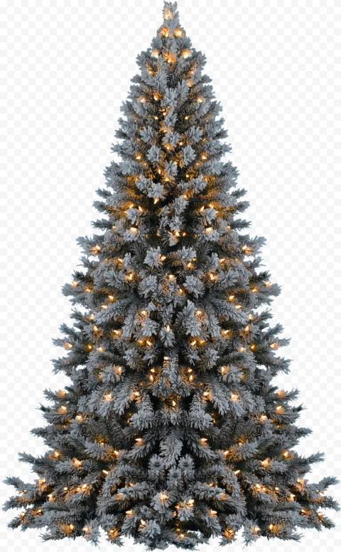 Christmas tree,