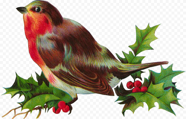 Christmas Bird PNG File