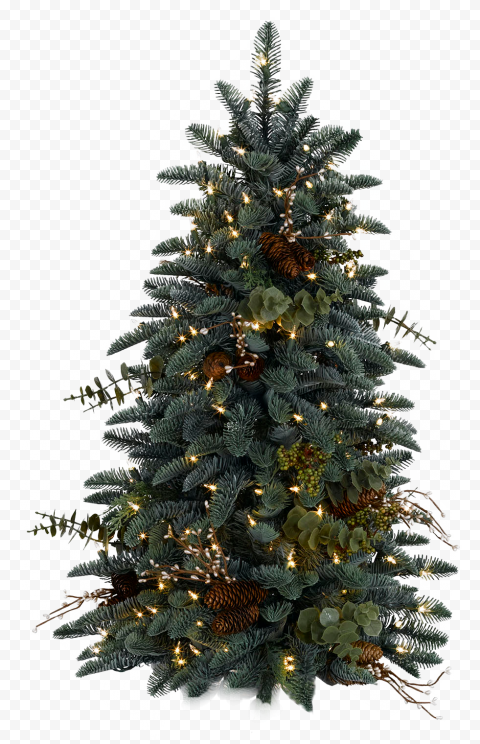 Aesthetic Christmas PNG Photos