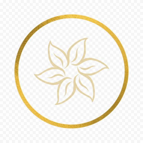 instagram icon gold beauty