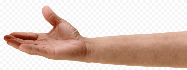 Hand Thumb, hand, sticker, arm, human Body
