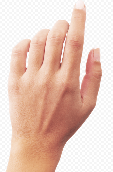 Of left person's hand, Hand, Hands Hand, ring, people, hand Model