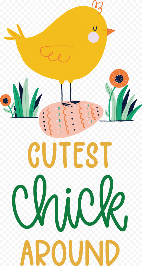 Cutest chick around, png free download