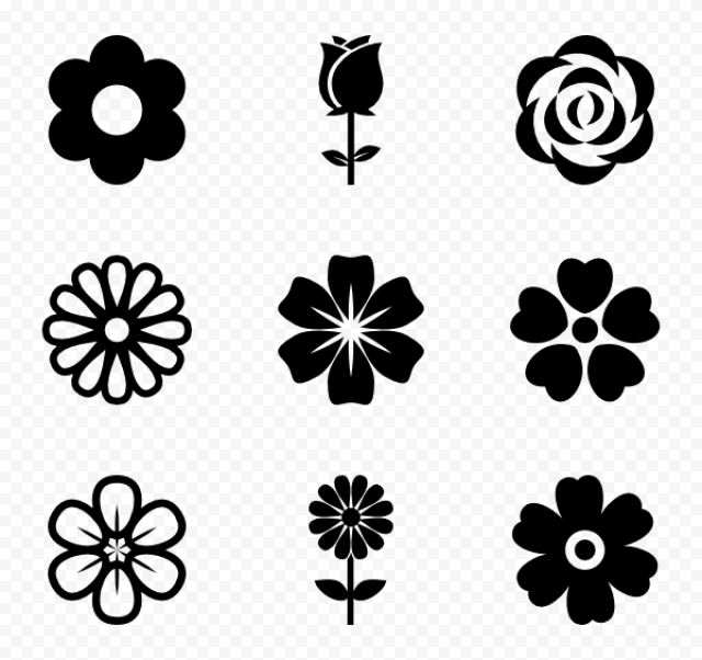 Flower Computer Icons Blossom, flowers, white, leaf, symmetry