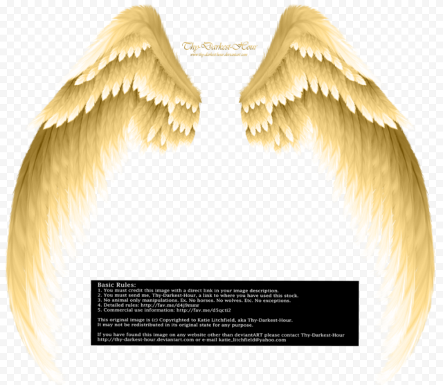 Angel, Angel Wings, feather, angel, angel Wings