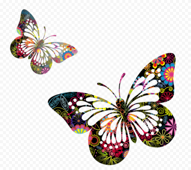 butterflies vector clipart png photo