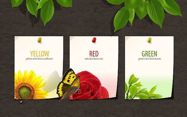 spring frames background