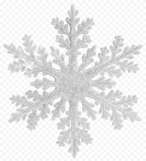 Snowflake Christmas, snowflakes, branch, symmetry, monochrome
