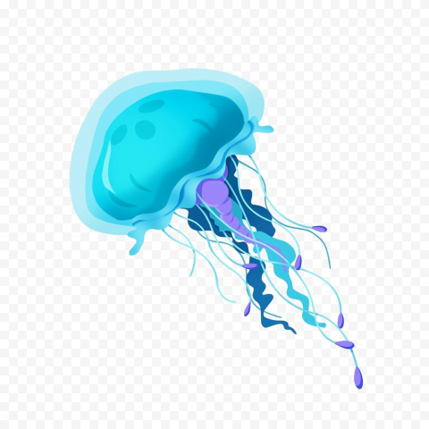 Blue jellyfish, blue, jellyfish, animal 