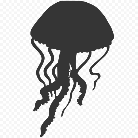 Jellyfish Silhouette, jellyfish, animals, ocean, animal