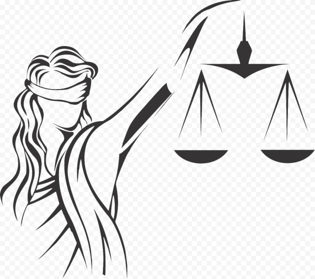 Lady justice illustration, Positive law Justice Themis Lawyer, lawyer, angle, white, face