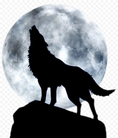 Full moon howl, carnivores, animals wolf, jackal