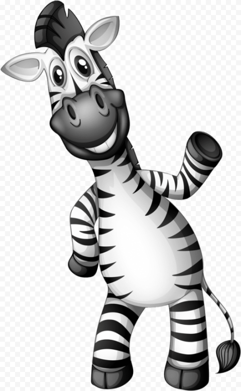smiling zebra 701x1135