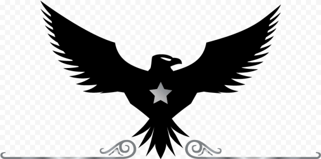 eagle logo   black and white eagle logo PNG image with transparent background 