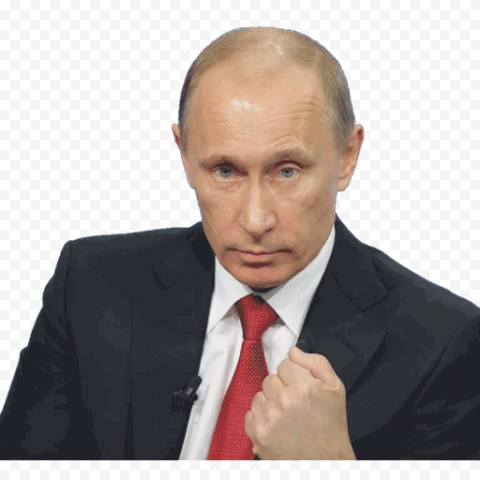Vladimir Putin President of Russia Army officer, vladimir putin, celebrities, united States, business