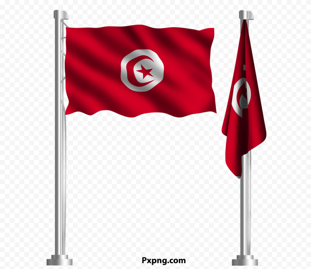 HD Vector Waving Tunisia Flag Pole PNG