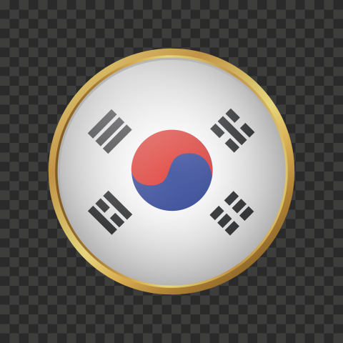 HD 3D south korea flag vector with Gold in borders PNG